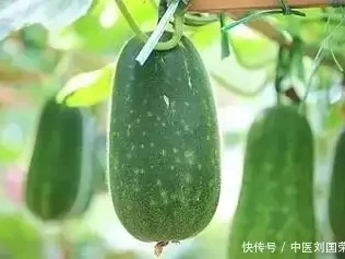 冬瓜是血压“助推器”？高血压患者少食以下5种蔬果，知悉有益央视著名主持人桑晨，原来是这位大明星的后代，难怪长得这么好看