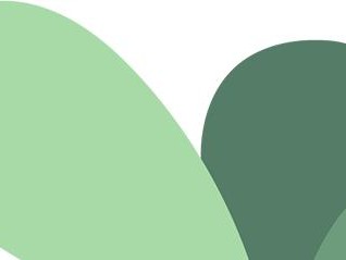 花开新天地丨2025上海国际花展双主会场27组花园景点抢先看