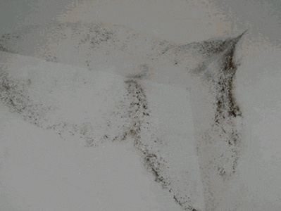 “真的绝望”！最近，很多深圳人家中被悄悄入侵！速自查这些地方……