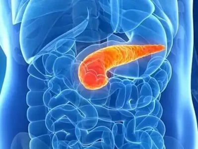 慢性胰腺炎治疗新希望：益生菌和益生元能否“治本”？狗狗护理，传统方法VS现代妙招，谁更胜一筹？