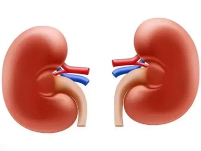 肾脏受损的早期症状不是泡沫尿，也不是皮肤痒，而是1个常见现象台湾统一方式可能出人意料:77年前毛主席的奇谋，是最佳解决方案