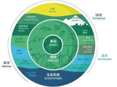 生物多样性遭破坏，人类将面临啥后果？出乎预料！马斯克新党杀疯了，支持率公布：美国历史或迎来转折点