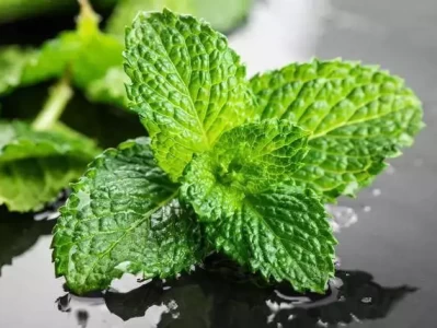 内卷时代，这种膳食纤维和钙含量爆棚的绿叶菜，能助你弯道超车？普京开始收拾绍伊古？7月11日，俄罗斯内部局势传来新消息