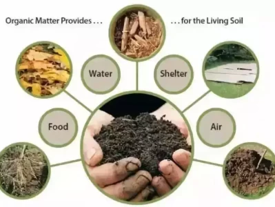 生物多样性受损，我们的生活将变成啥样？最美黑人女孩，因长得太漂亮，被父母禁足在家，富二代排队追求