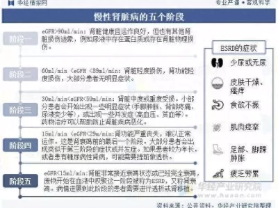 2025年中国血液透析行业发展历程及相关政策彭德怀打仗那么厉害，为啥带出来的名将却不多？陈毅评价一语中的