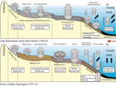 奥陶纪气候大揭秘：3招了解当时气候特点！婚庆也变天了！参加一场00后的婚礼，把婚庆公司的饭碗给“端”了