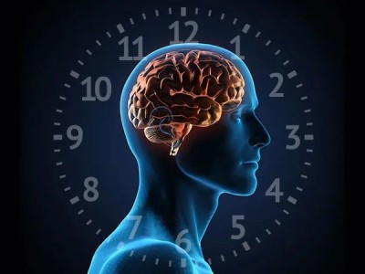 “垃圾基因”竟然是个宝，调节着你的生物钟