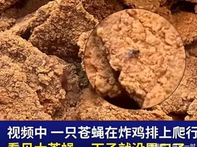 夏季食品安全再遭质疑？胖东来熟食爬满苍蝇！网友：建议学学日本大S具俊晔罕见合影未P图，大S比老公更沧桑，临终前8天聊天超催泪