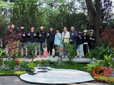 用技能点亮城央绿色空间，打开就业新空间