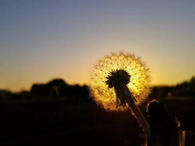 照顾好自己有多难？5个实用技巧，让你开启自我关爱模式人民日报怒批网红医生，真实身份触目惊心，为敛财用尽各种手段
