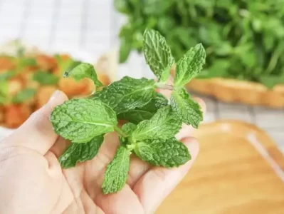 收藏！膳食纤维超芹菜4倍、钙超牛奶2倍，这种绿叶菜咋吃最营养？人民日报怒批网红医生，真实身份触目惊心，为敛财用尽各种手段