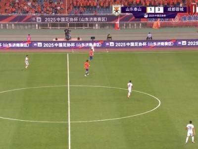 球迷倒戈泰山主场球迷集体高喊：下课！崔康熙！