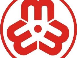 【2024年世界急救日】：致全体师生、家长的必学知识！