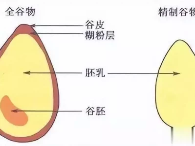 糖尿病10多年，空腹血糖从12降到5.7：三句口诀轻松控糖西藏有种珍稀动物，外表可爱性格凶猛，小型飞鸟走兽都抓来吃