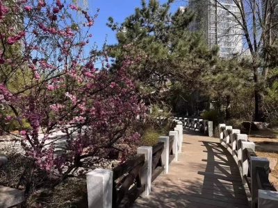 今天白天天气转晴 最高气温22℃ 适宜户外活动人生之大起大落，前只有黄巢，后唯有闯王