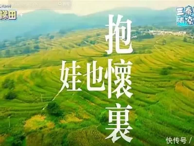 董宇辉谈网暴伤害,互联网暴力如何应对,网友热议情绪管理快来！植物大战僵尸这些彩蛋你发现了吗？