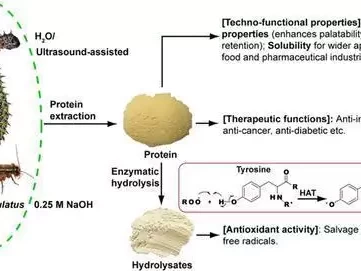 小小昆虫，在食物网中竟起着如此关键作用？末代皇后婉容真实相貌：比想象中要美，39岁去世，遗体被随意掩埋
