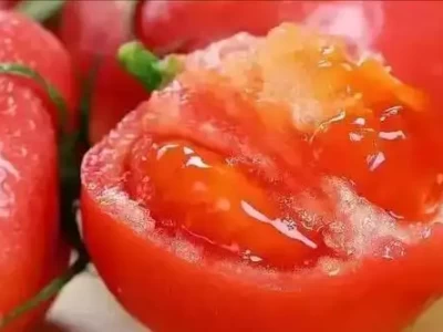 糖尿病患者必看！西红柿能否缓和病情？还有这4物能稳血糖！他是我党第二任最高领导人，36岁英勇就义，妻子成全国妇联副主席