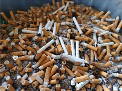 一根烟头埋进土里，然后认认真真等它十年