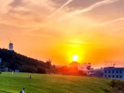 落日、晚风、草地、音乐、露营……济南这个网红打卡地太city啦广西忻城发现国宝级怪鸟，头部像翼龙叫声似虎，全球仅存1000余只