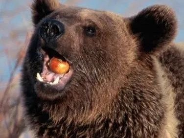 黑，是你的保护色，但你还得防晒