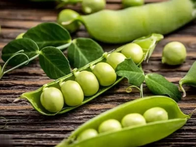 做米饭时加点它，心血管健康、免疫力提升双受益！ 当年日本为何敢打中国？看看他们画的中国地图，让人“脊背发凉”