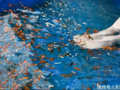 “温泉鱼”有多恐怖？吃脚皮只是在麻痹你，整条鱼进去只剩骨架！朱棣攻破南京后，一小官拦下他小声问了这句话，从此成四朝宰相