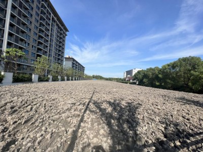 生态涵养、休闲游憩、文化体验……中山街道新增一处绿色空间