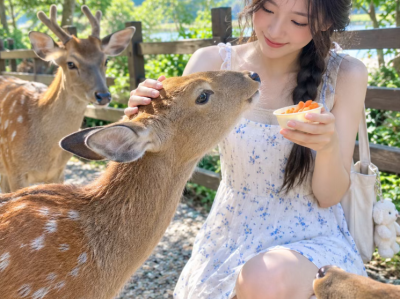 美女图片