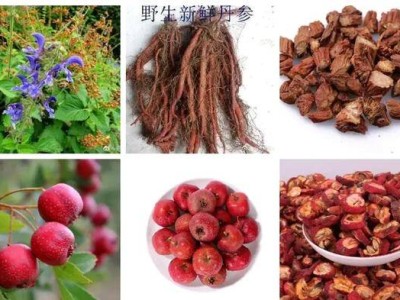 丹楂散：高血脂