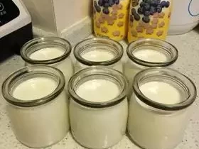 快来试试自制酸奶，开启健康美味生活！泰酷辣！这就是微胖女生坚持吃鱼油的福报～