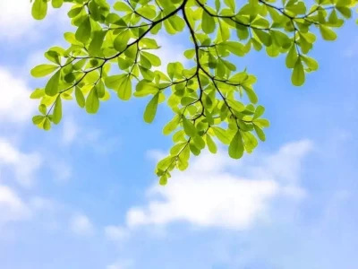 劝你夏天多吃这几种食物，真的有好处！