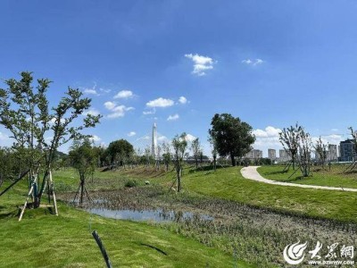 潍坊临朐：小花园大共建！打造共享绿色空间