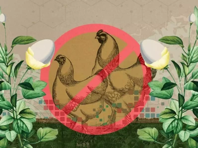 食品科学家破解完美植物性鸡蛋配方，引领绿色饮食新革命