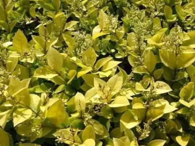 自我关爱之道：绝不委屈自己，珍视每一份情感气质穿搭 优雅与美学并存