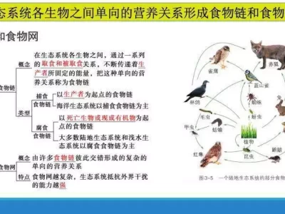 快来了解！食物网对我们生活竟有这么大影响！蒙古国突然找中国谈边境！决定把遗留问题都处理好，有何目的？
