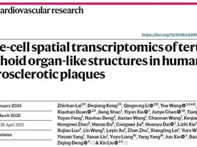 研究：三级淋巴器官是颈动脉粥样硬化症状独立风险因素97岁杨振宁的最后一战：宁可背负骂名，也要阻止中国研发千亿项目