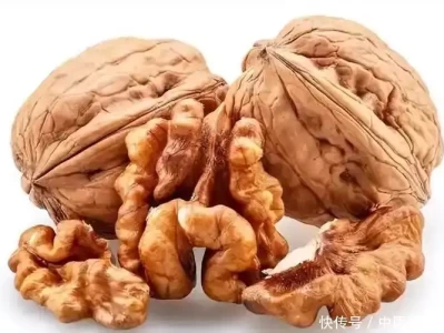 核桃是骨质疏松的“抑制剂”？医生：若想骨骼强壮，这几物别忘了夏季慵懒感防晒衣这样穿好有美女感！！