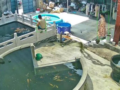 新乡一男子喂鱼忘送娃上课被妻子踹进鱼池：妻子怀孕脾气有时候控制不住，互相道了歉