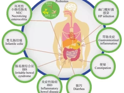 选益生菌别盲目！这3点一定要注意家喻户晓到销声匿迹，“相声演员”大兵的消亡史，比你想的更恶劣