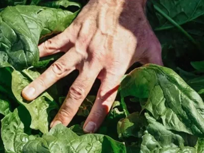 年纪大了眼睛总难受？这几种护眼食物必看，超有用！10位赵敏扮演者大比拼，哪一位让人意外？