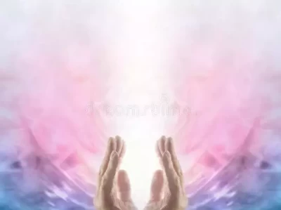 为什么冥想对我们很重要？非洲巨鼠体长达1米，每年拯救成千上万人，它究竟有什么本事？