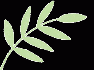 《老师来了》| 做好“情绪管理”，只需要这几招→