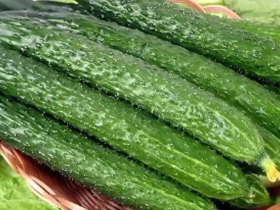 医生建议：高血脂患者常吃黄瓜，不久后身体或有3个变化陈道明：娱乐圈的“妓女现象”