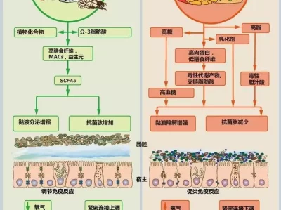 健康达人都爱的膳食纤维，你知道怎么选吗？张本智和连续“复仇”成功！击败3位名将夺冠：3人今年都赢过他