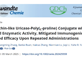 助力攻克高尿酸与痛风！深圳先进院联合开发新型蛋白药物修饰技术