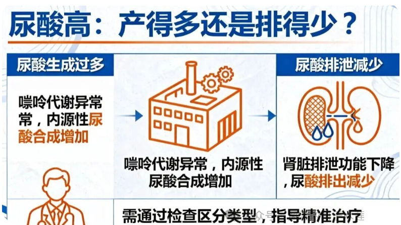 风湿小课堂 | 尿酸高≠治疗都一样！选药前先分清是“产得多”还是“排得少”？