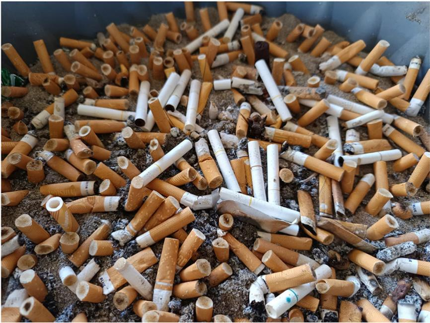 一根烟头埋进土里，然后认认真真等它十年