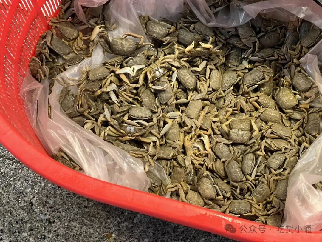 宁波一菜场现“罕见”螃蟹！摊主说才30块1斤，网友直呼太稀奇了，不常吃